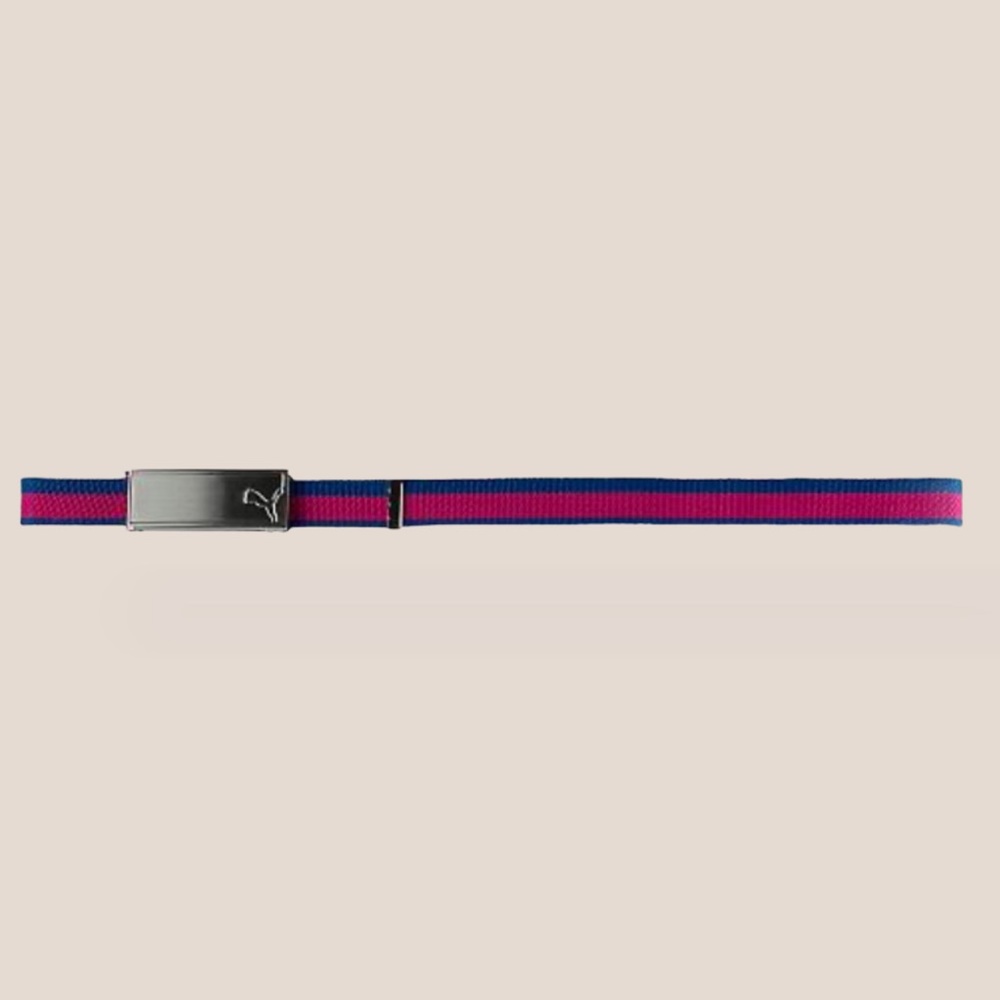 💕Puma💕 women’s web golf belt